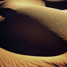 Graphic Sand Dune Formations At Sunset by Gary Yeowell