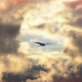 Great Blue Heron Flying In Front Of Dramatic Sky by Ethera