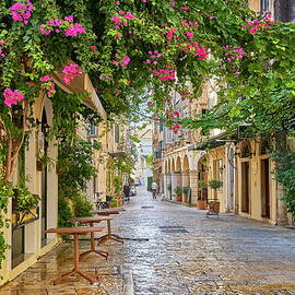 Greece, Ionian Islands, Corfu Island, Kerkira, Corfu City, Corfu Old Town, Flower Lined Street by Jan Wlodarczyk
