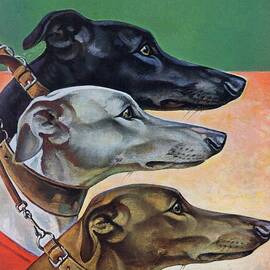 Greyhounds by Paul Bransom