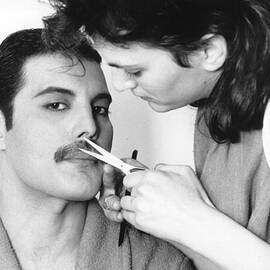 Grooming Freddie by Steve Wood