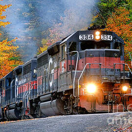 Guilford Rail System Number 334 by Olivier Le Queinec