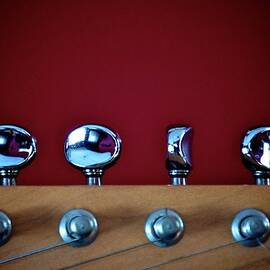 Guitar Tuning Pegs And Strings by Lynn.h.armstrong Photography