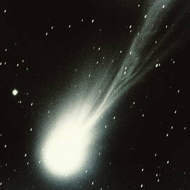 Halleys Comet by Stocktrek