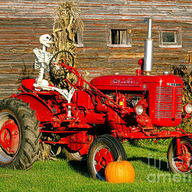 Halloween Farmall by Olivier Le Queinec