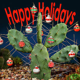 Happy Holidays Cactus Balls by Kelley King