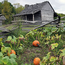 HARVEST TIME by Randall Dill