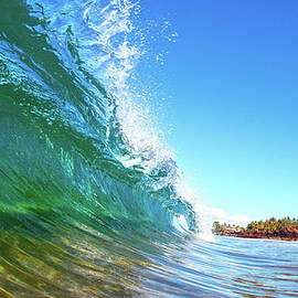 Hawaiian Curl by M Swiet Productions