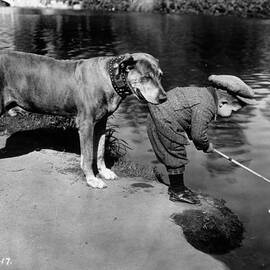 Helpful Dog by General Photographic Agency