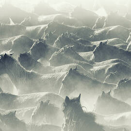 Herd Of Wild Horses Running In Dust by Tunart
