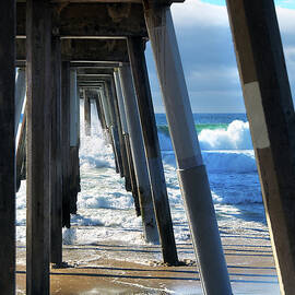 Hermosa Beach Pier and Sandpiper by Joe Schofield