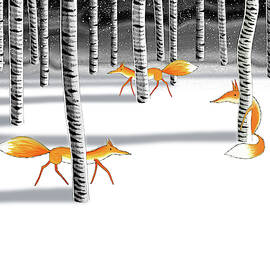 Hide and Seek  by Andrew Hitchen