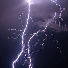 High Voltage by Pat Gaines