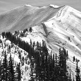 Highland Peak At Aspen Highlands Black And White by Adam Jewell