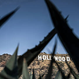 Hollywood Sign by Giovanni Simeone