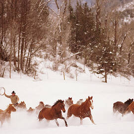Horse Riders Rounding Up Horse, Winter by John P Kelly