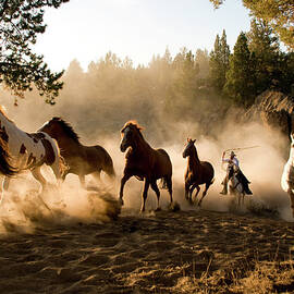 Horses Being Chased By Cowboy Through by Garyalvis