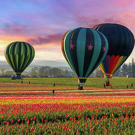 Hot Air Balloons At Sunrise by David Gn Photography