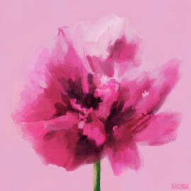 Hot Pink Carnation by Beverly Brown