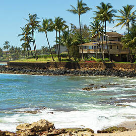 House With Palm Trees Facing Blue by Kubrak78