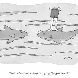 How About Some Help by Peter C Vey