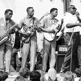 Howlin Wolf At Newport by The Estate Of David Gahr