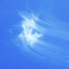 I Found Your Cloud by Joe Schofield