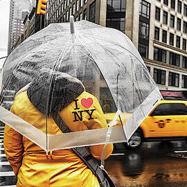 I Love NY by Alison Frank