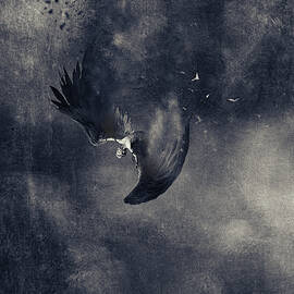 Icarus by Jeffrey Hummel