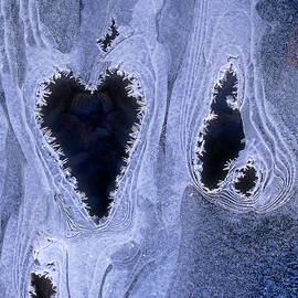 Ice Pattern Of A Frozen Stream by Robert Maier