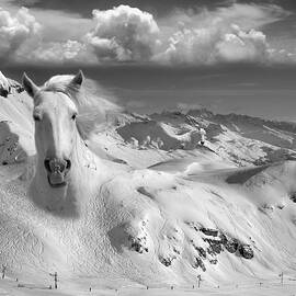 Icy Studs by Thomas Barbey
