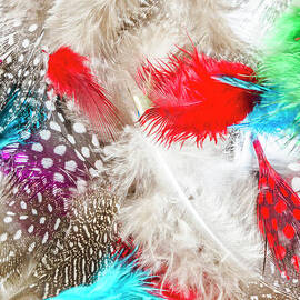 In quill colors by Jorgo Photography