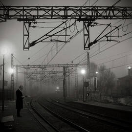 In The Morning Light by HAlAne Desplechin