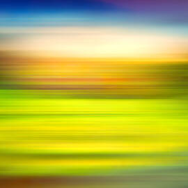 India Colors - Abstract Rural Panorama by Stefano Senise