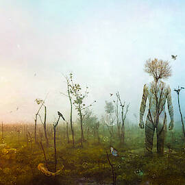 Internal Landscapes by Mario Sanchez Nevado