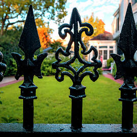 Iron Fence, New Orleans, Louisiana by Claudia Uripos