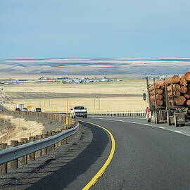 Irony is a Log Truck and a Treeless Plain by Mary Lee Dereske