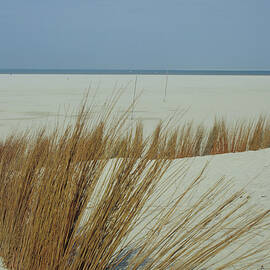 Island Of Texel, Netherlands, Europe by Foto Herzig