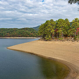 Island of Trees by Joe Leone