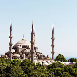 Istanbul,blue Mosque And Bosphorus by Gary Yeowell