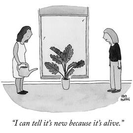 It's Alive by Amy Hwang