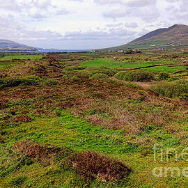 Iveragh Peninsula  by Olivier Le Queinec