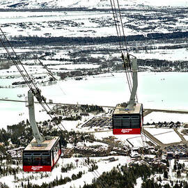Jackson Hole Twin Trams by Adam Jewell