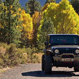 Jeep Wrangler among autumn colors by Waterdancer