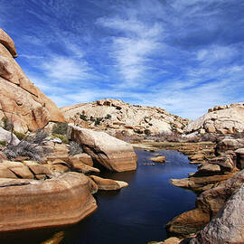 Joshua Trees Barker Dam by David Toussaint