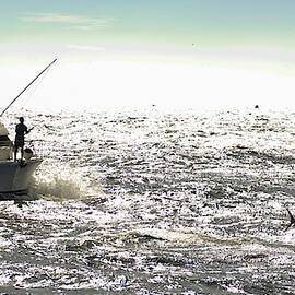 Jumping Marlin off bow by David Shuler