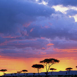 Kenya, Masai Mara Game Reserve, Storm by Paul Souders