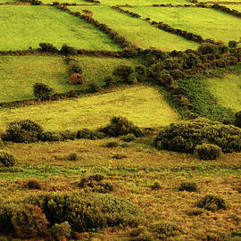 Kerry Green by Paul Baggaley
