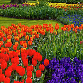 Keukenhof Gardens In Holland by Darrell Gulin