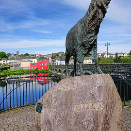 King Puck by Olivier Le Queinec